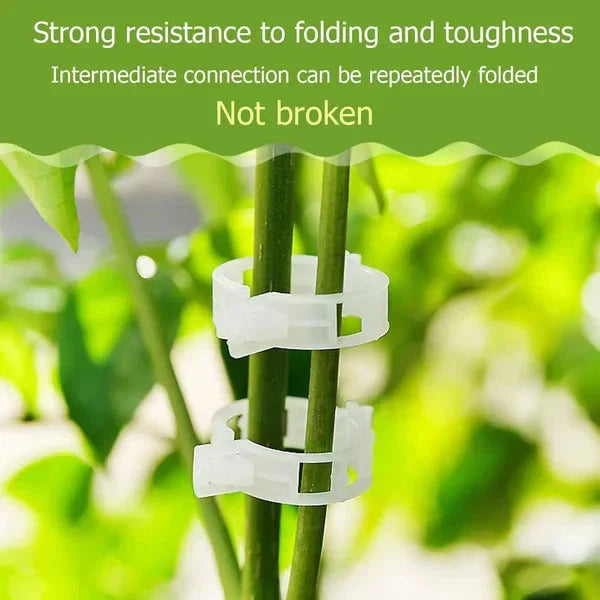 100/200Pcs Secured Plastic Plant Clip