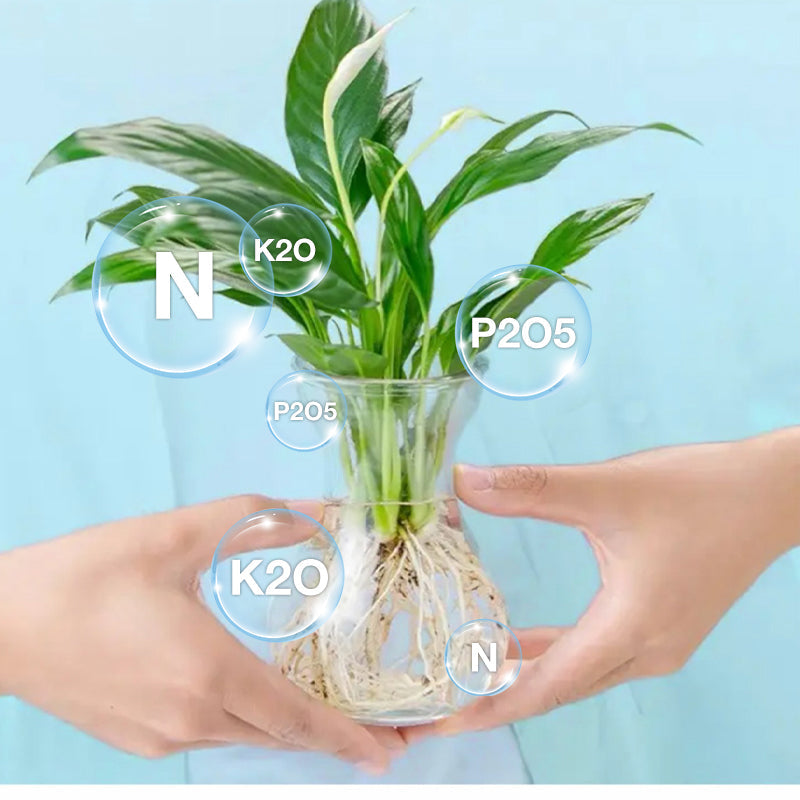 🔥Hydroponic Nutrient Solution For Plant Growth