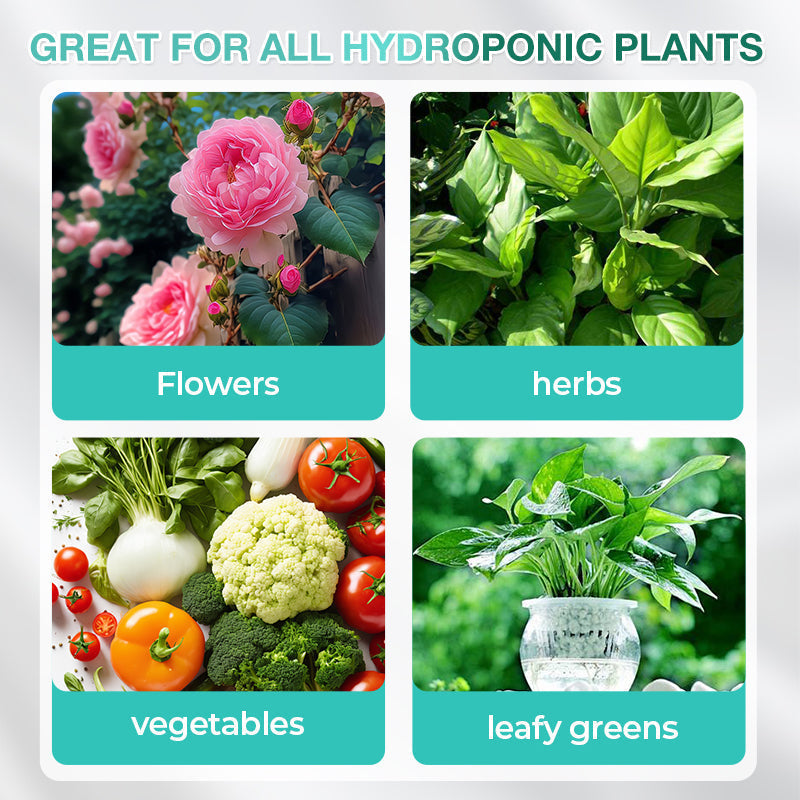 🔥Hydroponic Nutrient Solution For Plant Growth