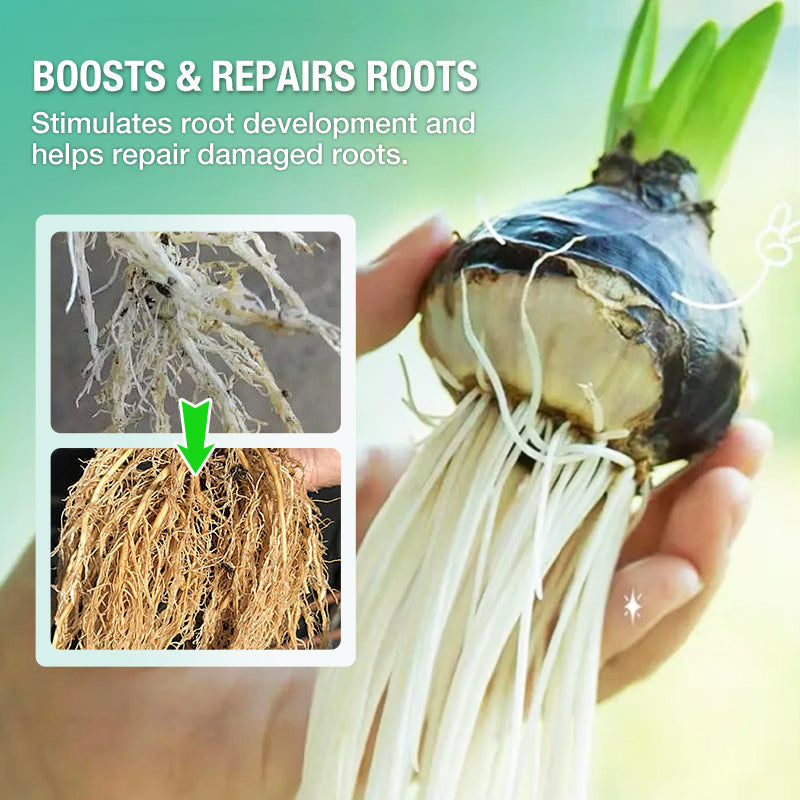 🔥Hydroponic Nutrient Solution For Plant Growth
