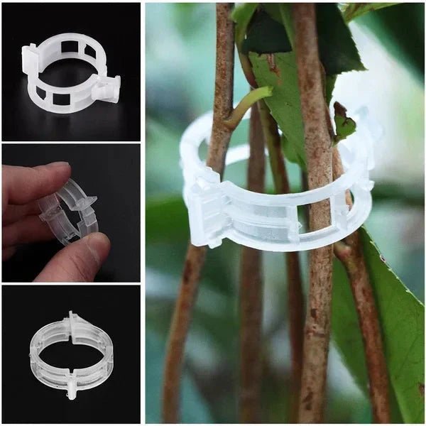 100/200Pcs Secured Plastic Plant Clip