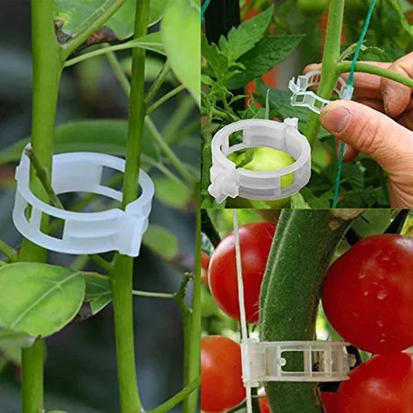 100/200Pcs Secured Plastic Plant Clip