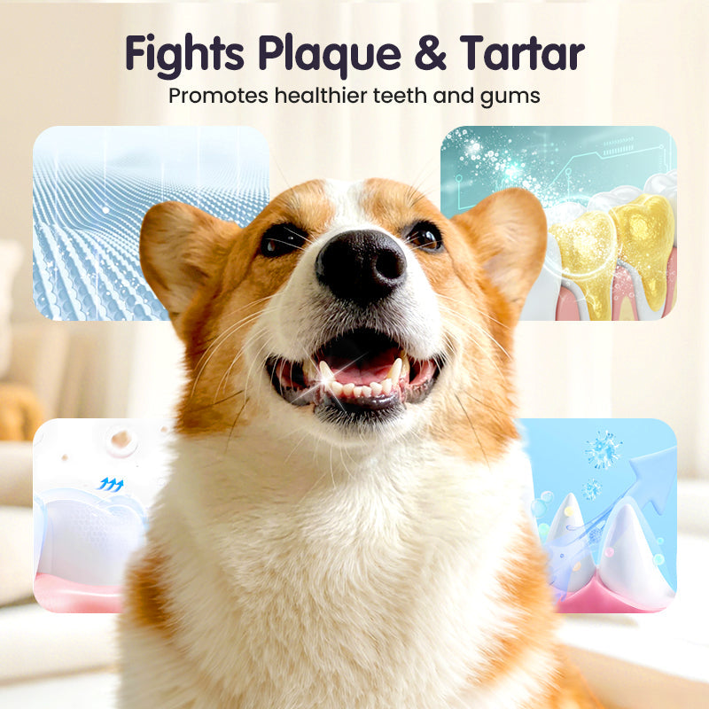 No-Brush Pet Dental Care Spray