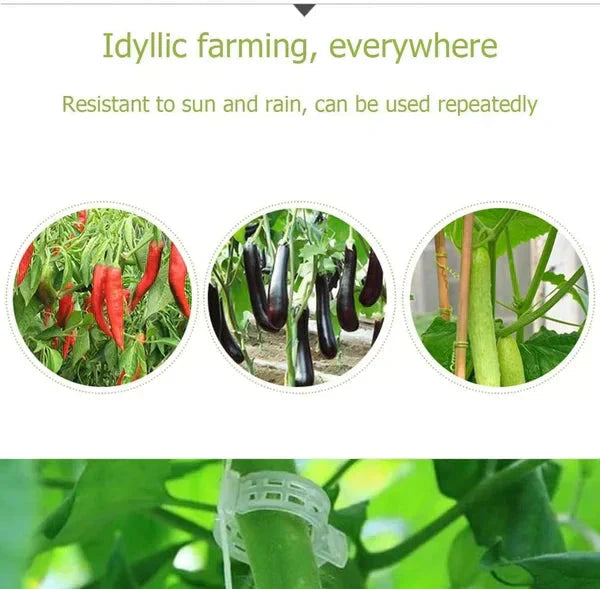 100/200Pcs Secured Plastic Plant Clip