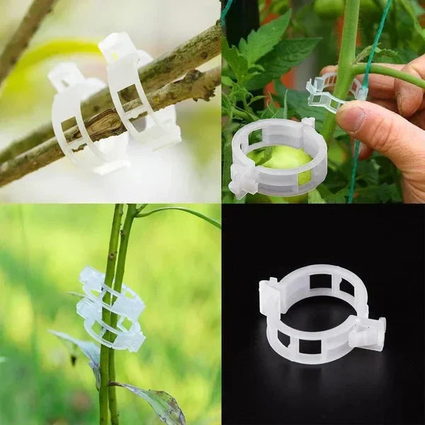 100/200Pcs Secured Plastic Plant Clip